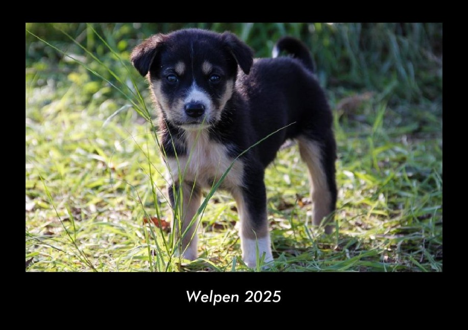 Welpen 2025 Fotokalender DIN A3 - Tobias Becker