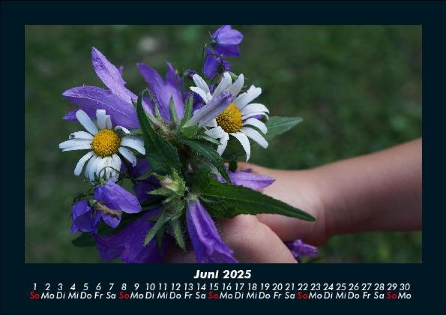 InsideView 10