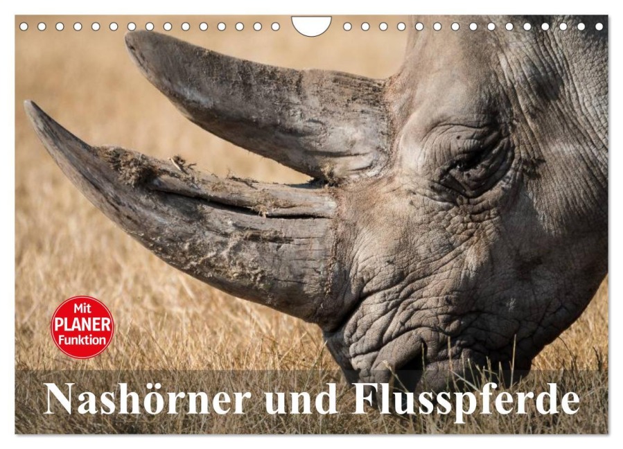 Nashörner und Flusspferde (Wandkalender 2025 DIN A4 quer), CALVENDO Monatskalender - Elisabeth Stanzer