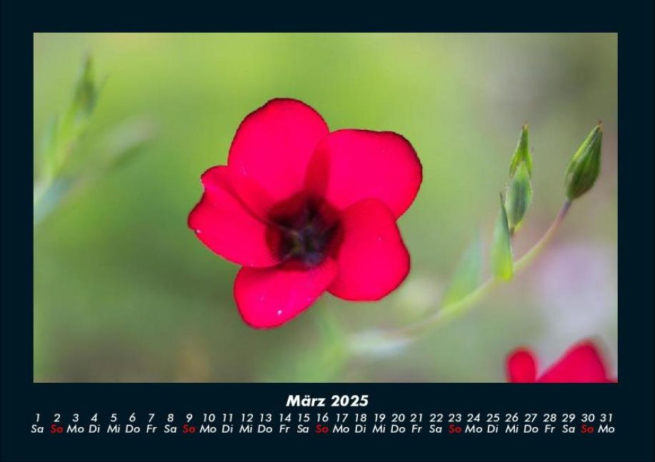 InsideView 7