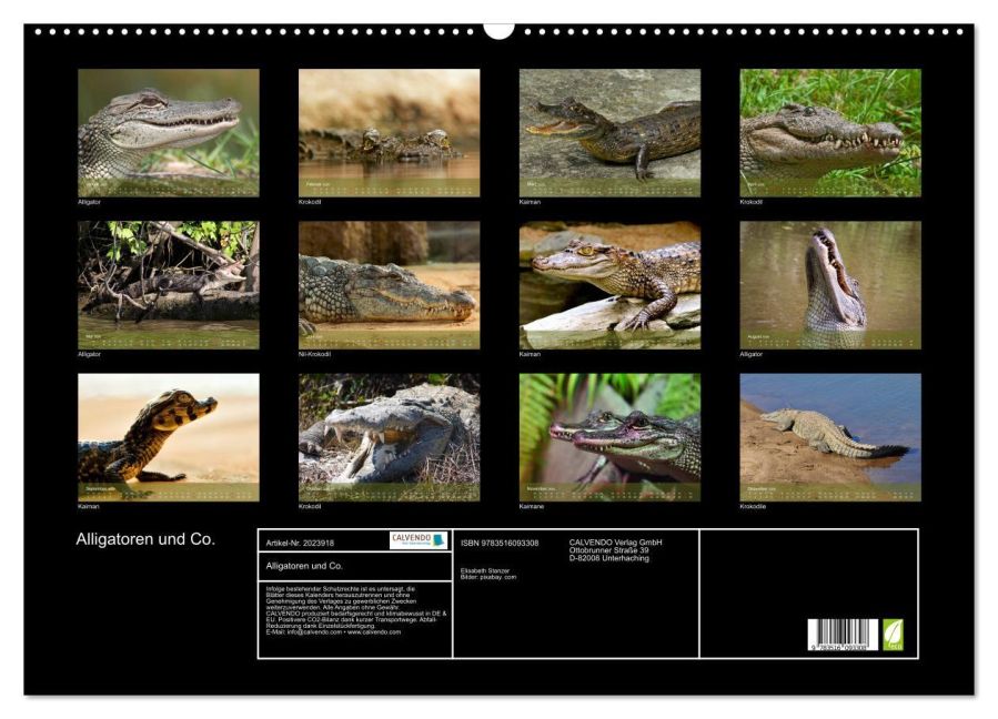 InsideView 5