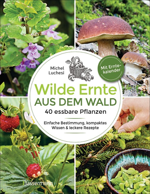 Wilde Ernte aus dem Wald - 40 essbare Pflanzen - einfache Bestimmung, kompaktes Wissen und leckere Rezepte - Michel Luchesi