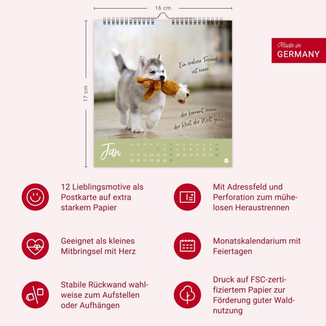 InsideView 13