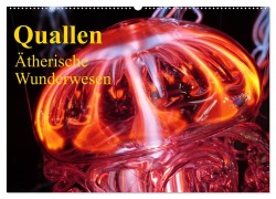 Cover-Bild zum Titel 'Quallen ¿ Ätherische Wunderwesen (Wandkalender 2026 DIN A2 quer), CALVENDO Monatskalender' von 'Elisabeth Stanzer'