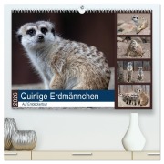 Cover-Bild zum Titel 'Quirlige Erdmännchen (hochwertiger Premium Wandkalender 2026 DIN A2 quer), Kunstdruck in Hochglanz' von 'Manuela Falke'