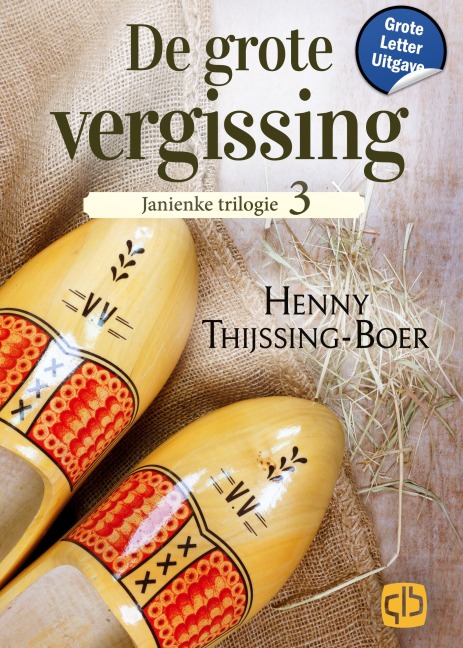 De grote vergissing - Henny Thijssing-Boer
