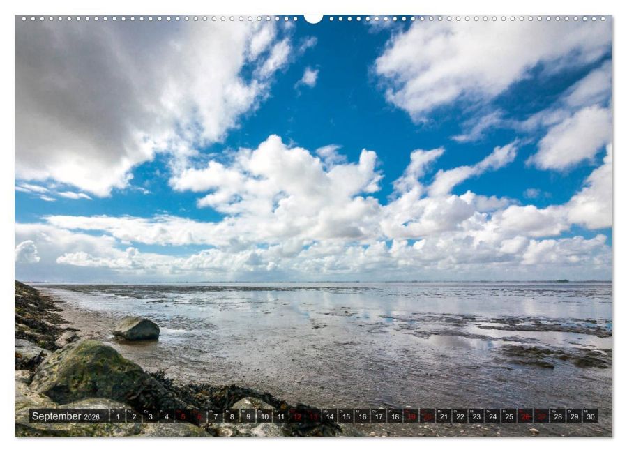 InsideView 13