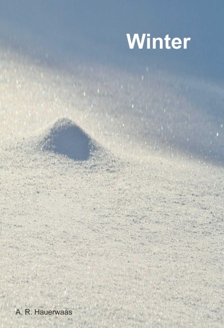 Winter - Andreas Hauerwaas