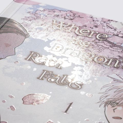 InsideView 2