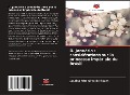 Cover-Bild zum Titel 'D. Januária : considérations sur la princesse impériale du Brésil' von 'Janaina Rita Silva de Souza'