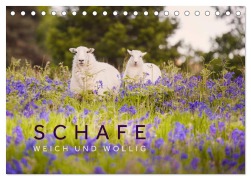Cover-Bild zum Titel 'Schafe - Weich und wollig (Tischkalender 2026 DIN A5 quer), CALVENDO Monatskalender' von 'Lain Jackson'