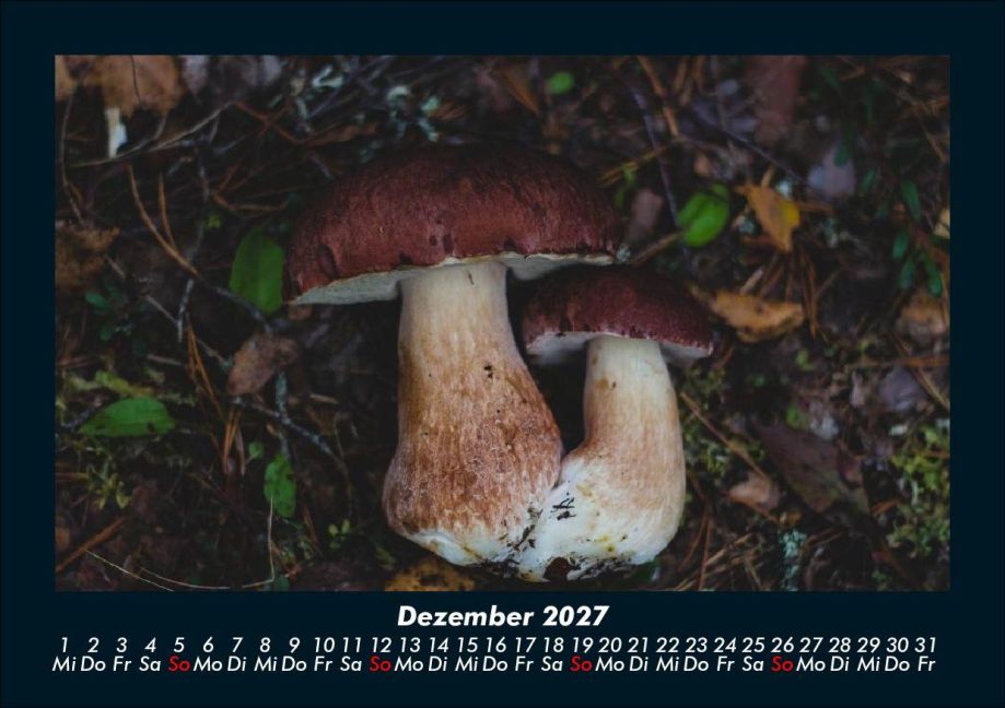 InsideView 4
