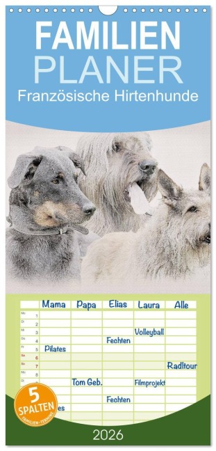 Familienplaner 2026 - Französische Hirtenhunde 2026 mit 5 Spalten (Wandkalender, 21 x 45 cm) CALVENDO - Andrea Redecker