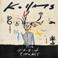 Cover-Bild zum Titel 'Kollaps' von 'The Hirsch Effekt'