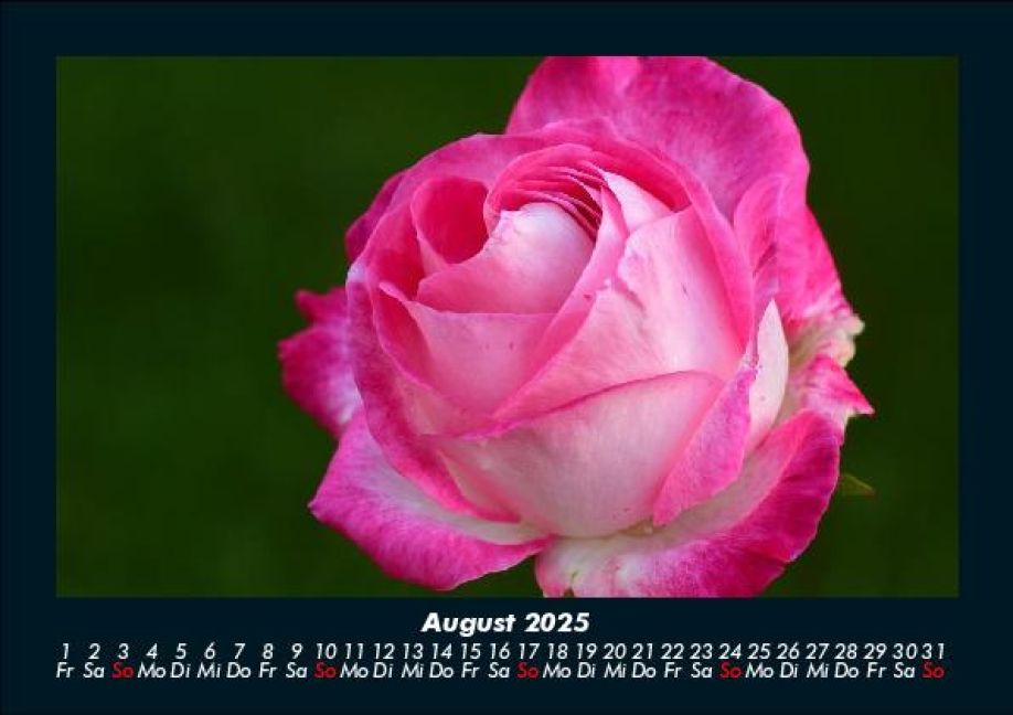 InsideView 12