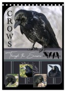 Cover-Bild zum Titel 'Crows - Through the Seasons (Desk Calendar 2026 DIN A5 portrait), CALVENDO 12 Month DeskCalendar' von 'Irene Saar'