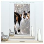 Cover-Bild zum Titel 'KATZEN AUGEN BLICKE (hochwertiger Premium Wandkalender 2026 DIN A2 hoch), Kunstdruck in Hochglanz' von 'Reinhard Sock'
