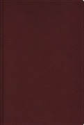 Cover-Bild zum Titel 'Rvr, Biblia de Estudio Trasfondo Cultural, Leathersoft, Rojo Vino, Interior a Color, Con Índice, Comfort Print' von 'Reina Valera Revisada, Vida'