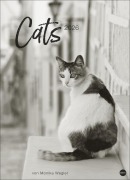 Cats Edition Kalender 2026 - 