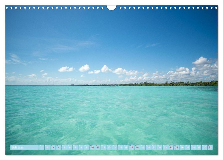 InsideView 12