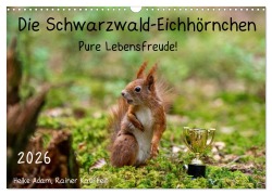 Cover-Bild zum Titel 'Die Schwarzwald-Eichhörnchen (Wandkalender 2026 DIN A3 quer), CALVENDO Monatskalender' von 'Heike Adam'