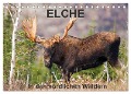 ELCHE In den nördlichen Wäldern (Tischkalender 2024 DIN A5 quer), CALVENDO Monatskalender - Philippe Henry