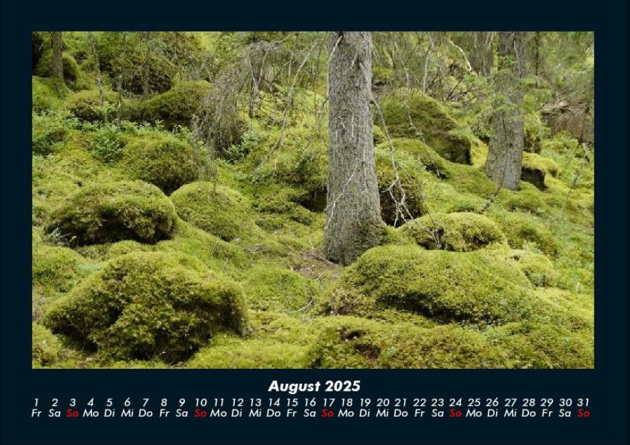 InsideView 12