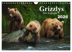 Cover-Bild zum Titel 'Grizzlys - Der Kalender (Wandkalender 2026 DIN A4 quer), CALVENDO Monatskalender' von 'Max Steinwald'