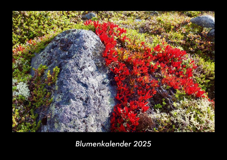 Blumenkalender 2025 Fotokalender DIN A3 - Tobias Becker