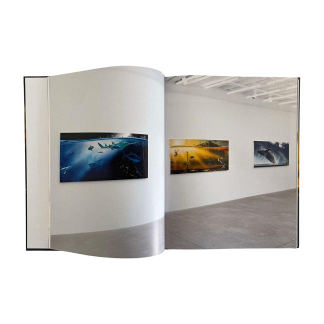 InsideView 5