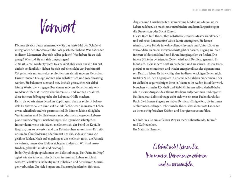InsideView 2