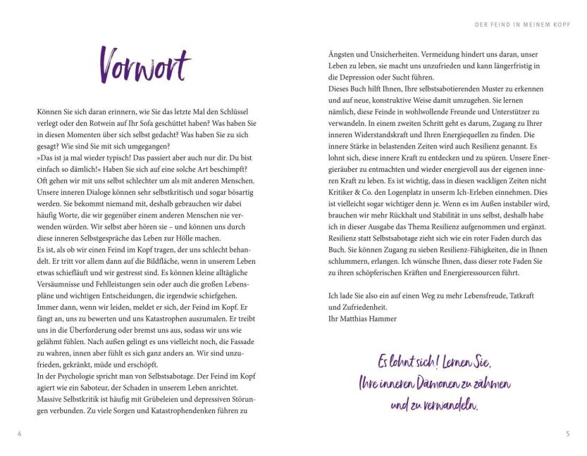 InsideView 2