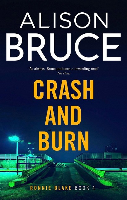 Crash and Burn - Alison Bruce