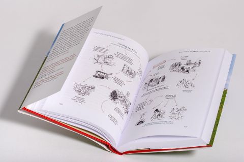 InsideView 5