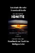 Cover-Bild zum Titel 'Entzünde die rohe Feuerkraft in dir - Handbuch zur Taufe im Heiligen Geist' von 'Ambassador Monday O. Ogbe'