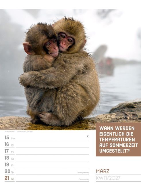 InsideView 15