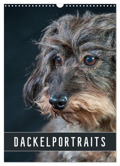 Dackelportraits (Wandkalender 2027 DIN A3 hoch), CALVENDO Monatskalender - Susann Kuhr