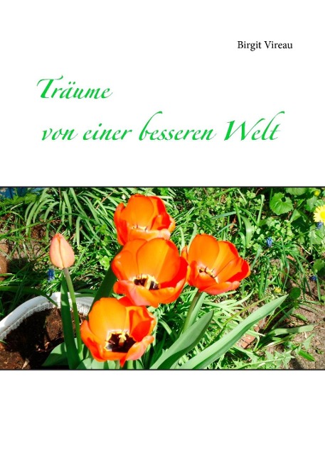 Träume von einer besseren Welt - Birgit Vireau