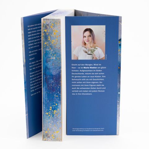 InsideView 6