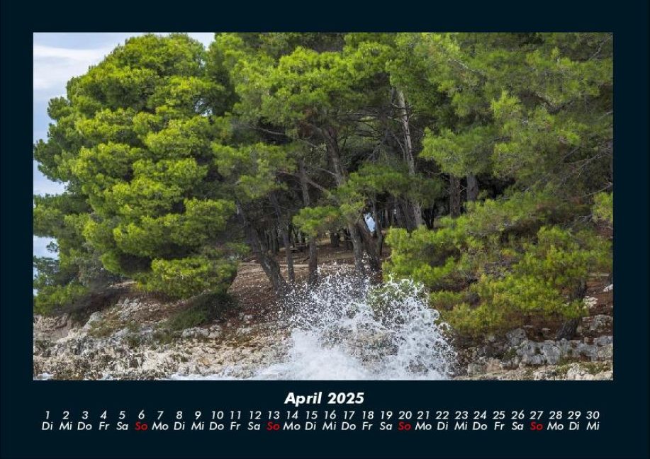 InsideView 8