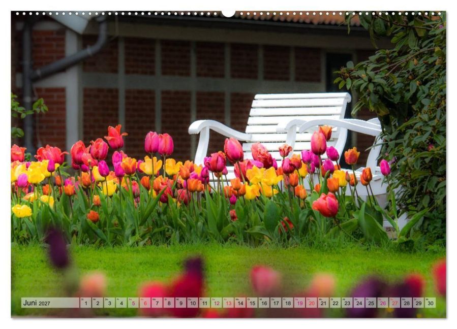 InsideView 11