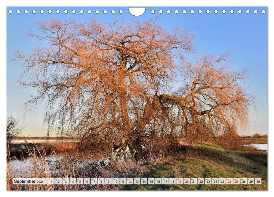 InsideView 14
