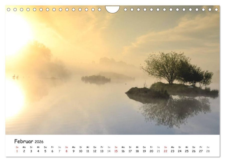 InsideView 7