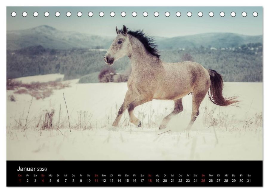 InsideView 6