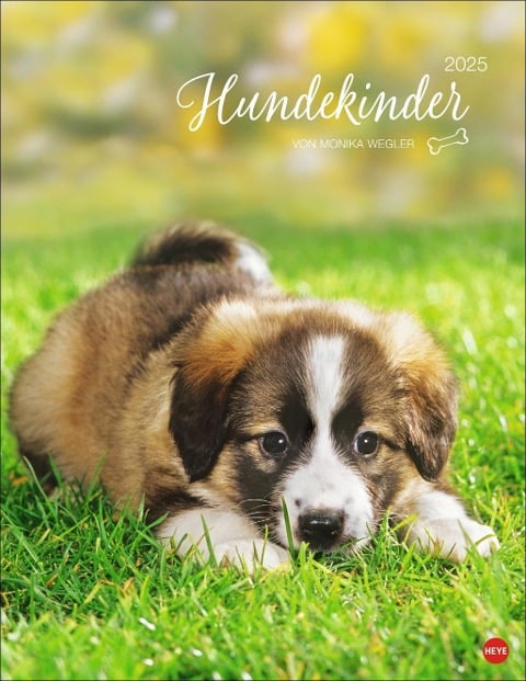 Hundekinder Posterkalender 2025 - 