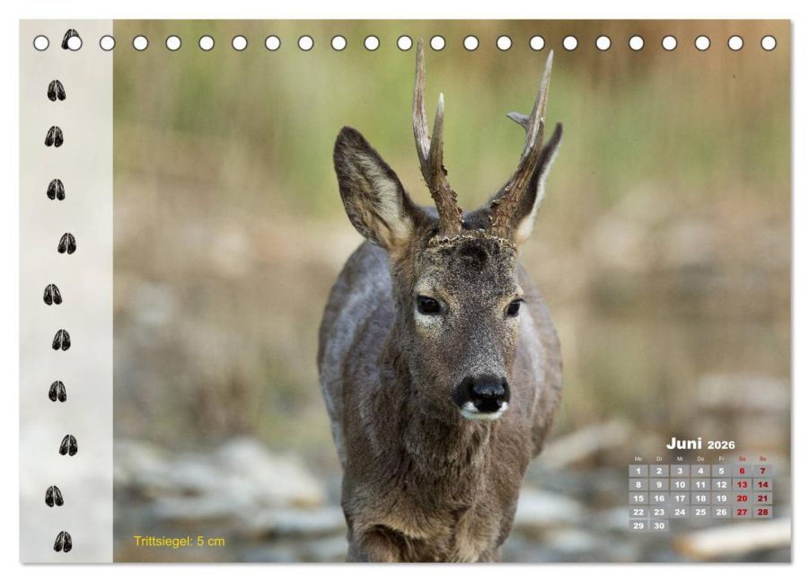 InsideView 11