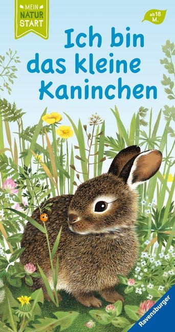 Ich bin das kleine Kaninchen - Gerlinde Wiencirz