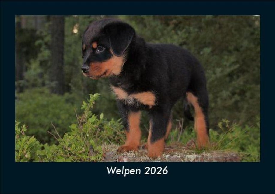 Welpen 2026 Fotokalender DIN A5 - Tobias Becker