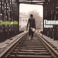 Cover-Bild zum Titel 'Banningsville' von 'Flamme Kapaya'