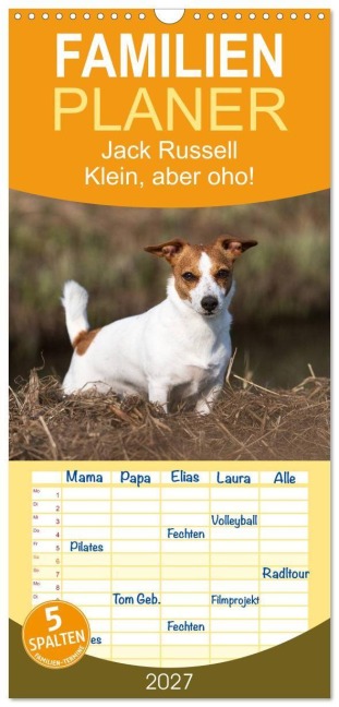 Familienplaner 2027 - Jack Russell - Klein, aber oho! mit 5 Spalten (Wandkalender, 21 x 45 cm) CALVENDO - Annett Mirsberger Tierpfoto. De